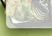 �i�쏬���O�����v����