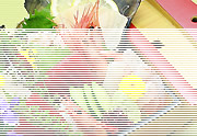 �i��喼�O�����v����