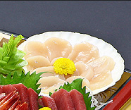 �i�쒆���O�����v����