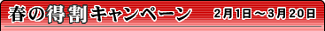 �t�̓����L�����y�[���A2���P������3��20���܂ŁB