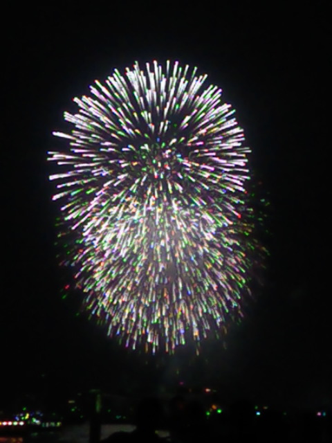 2010.8.14　東京湾大華火祭　