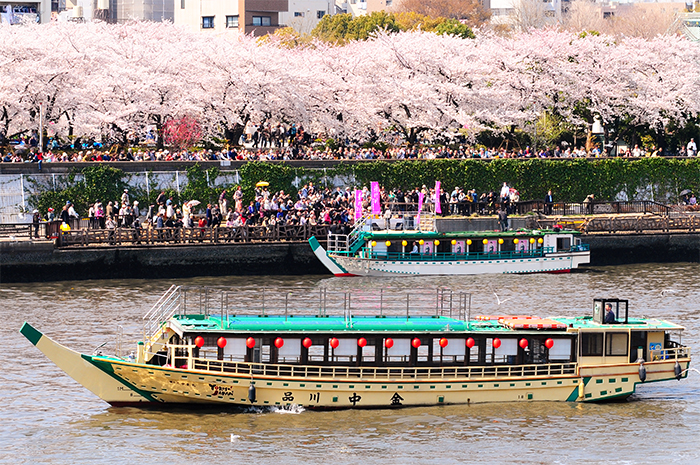 隅田川花見